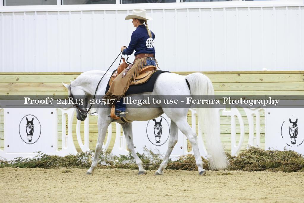 Proof 24R13_20517