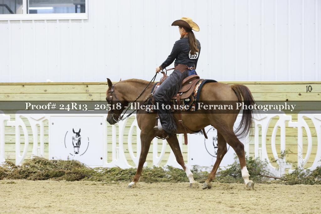 Proof 24R13_20518