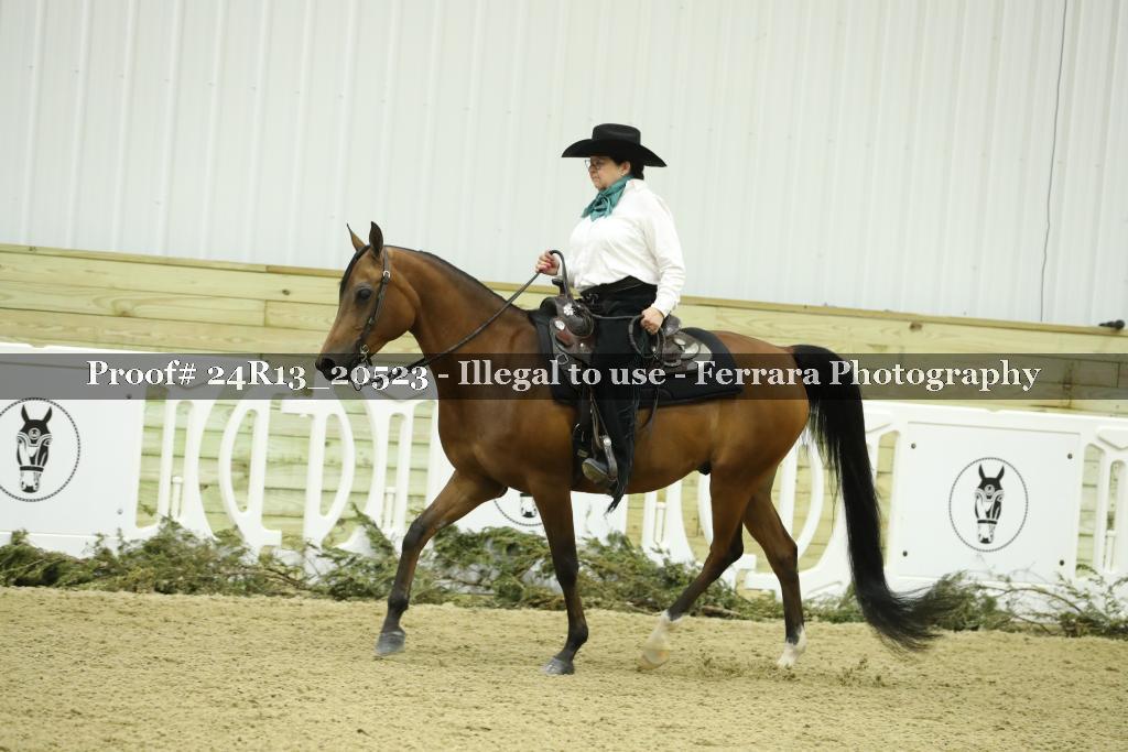 Proof 24R13_20523