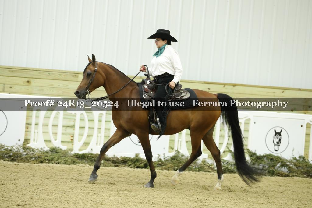 Proof 24R13_20524