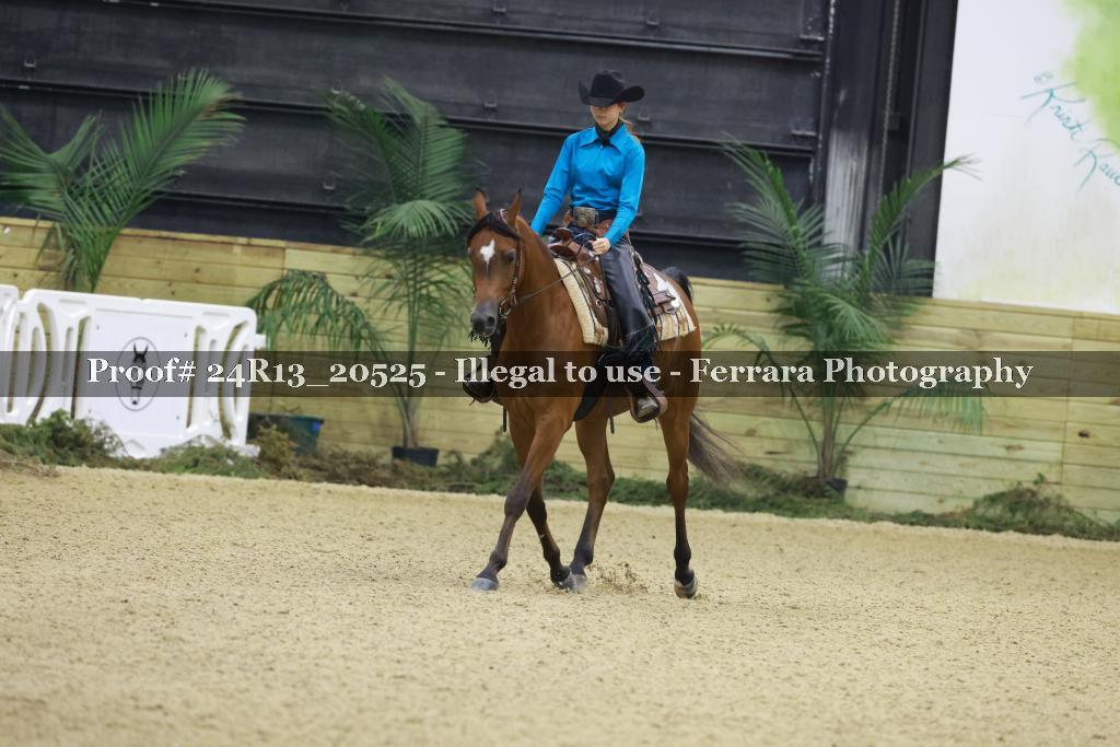 Proof 24R13_20525