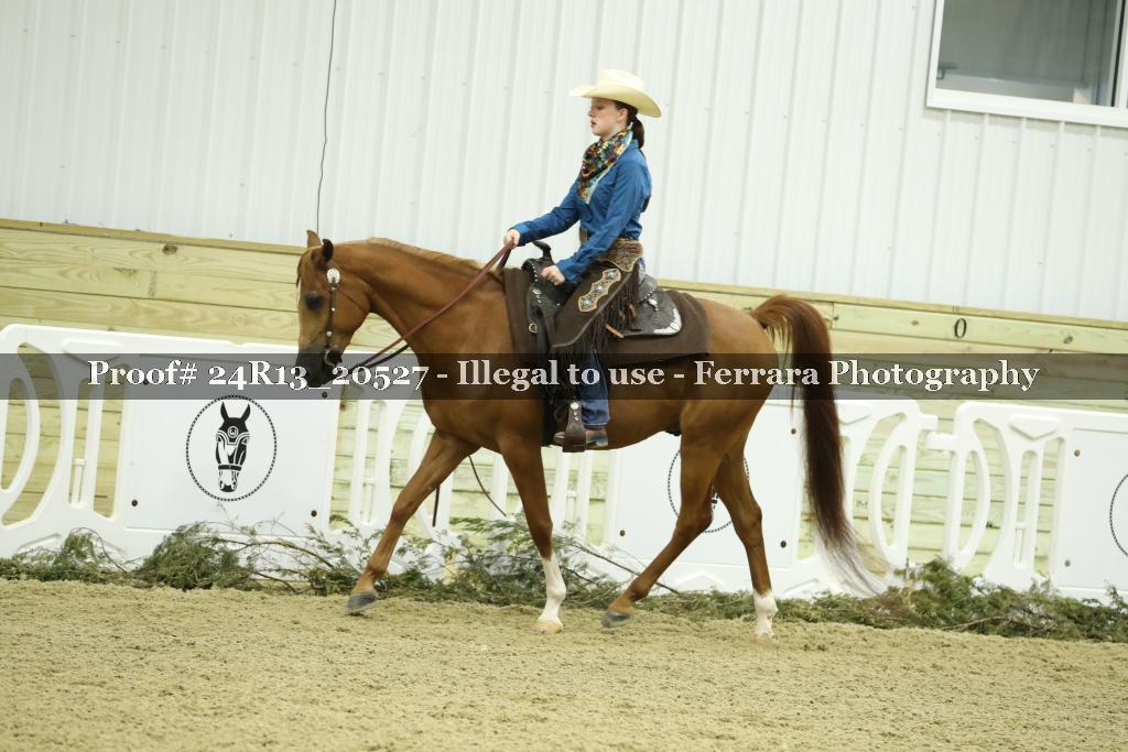 Proof 24R13_20527