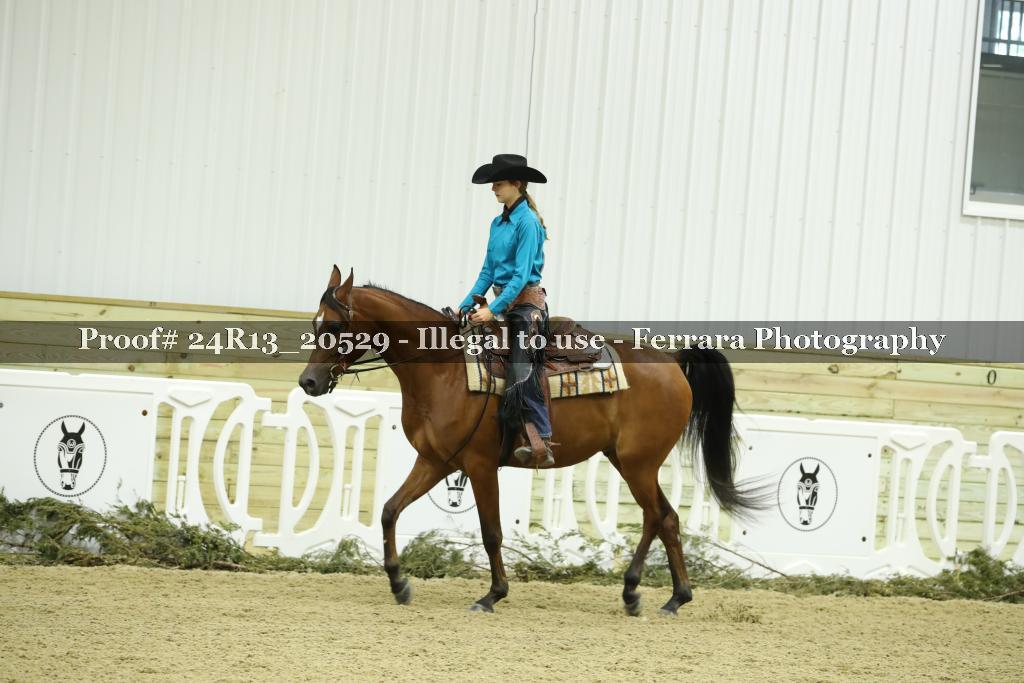 Proof 24R13_20529