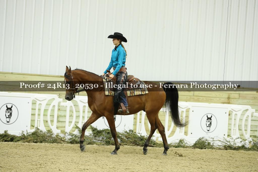 Proof 24R13_20530