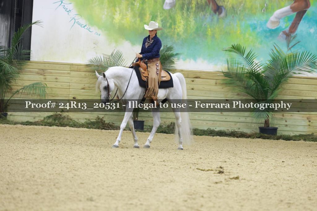 Proof 24R13_20531