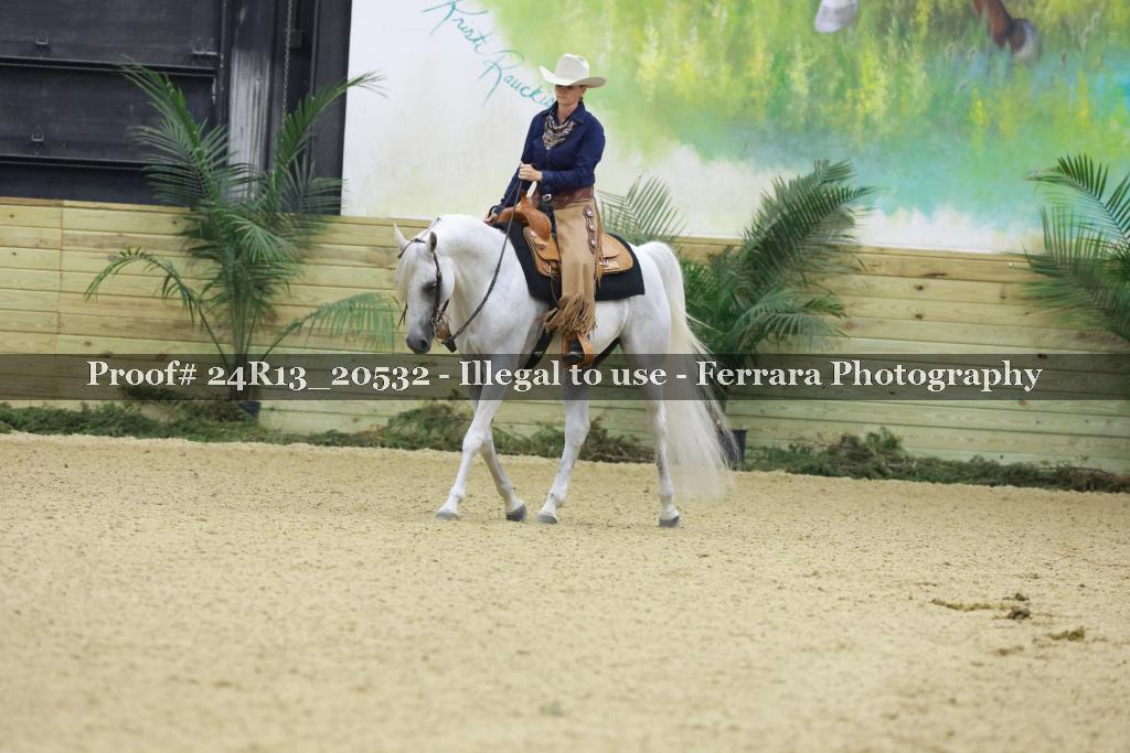 Proof 24R13_20532