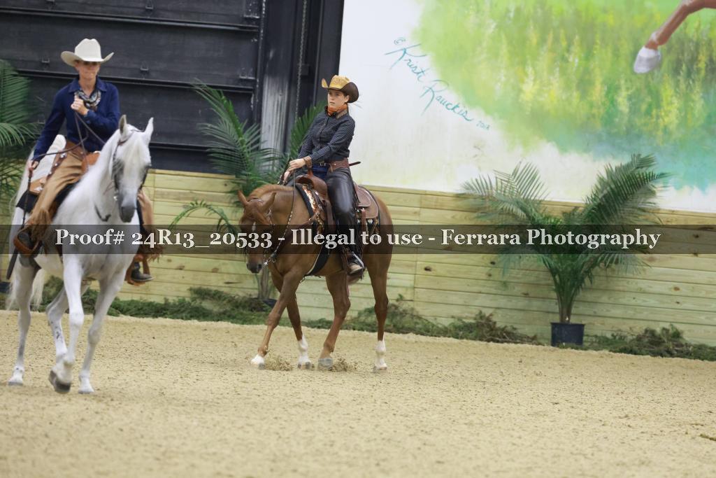 Proof 24R13_20533