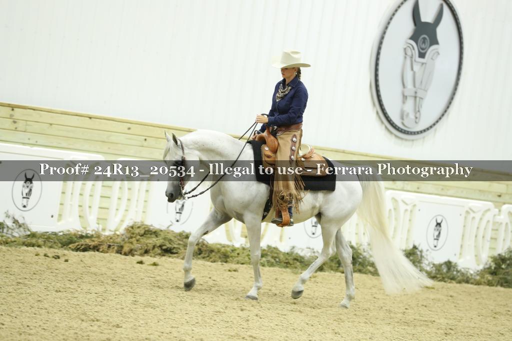 Proof 24R13_20534