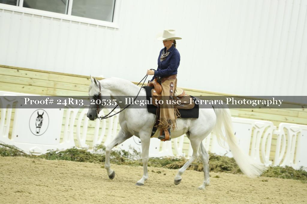 Proof 24R13_20535