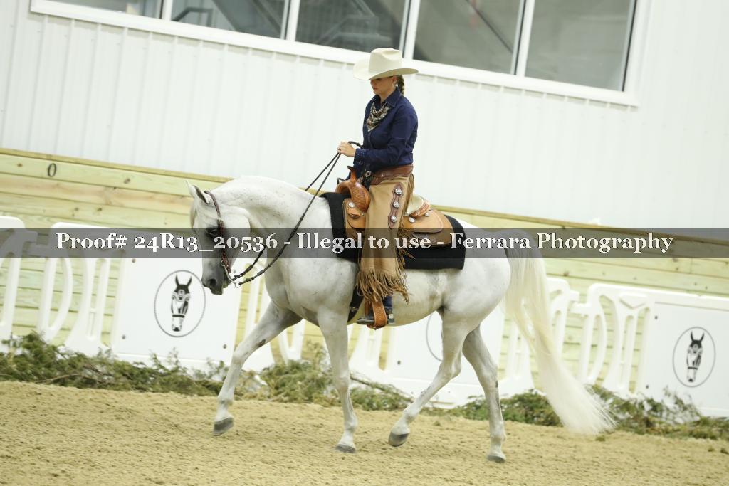 Proof 24R13_20536