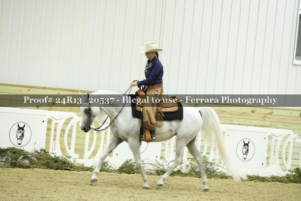 Proof 24R13_20537