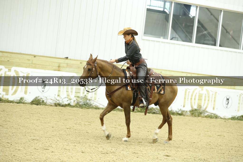 Proof 24R13_20538