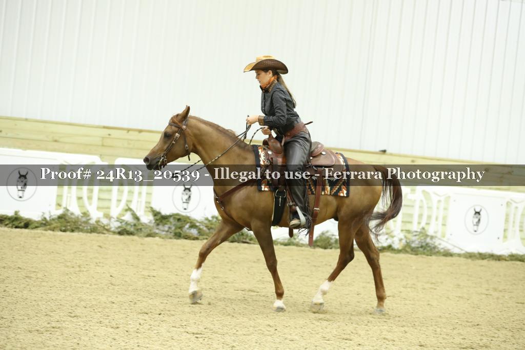 Proof 24R13_20539