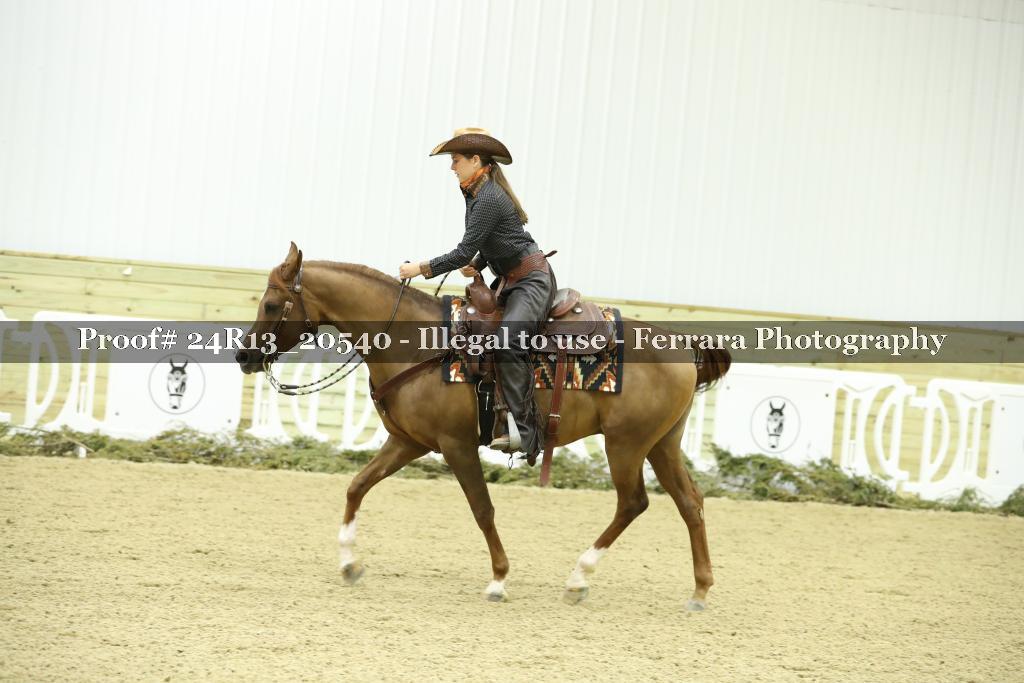 Proof 24R13_20540