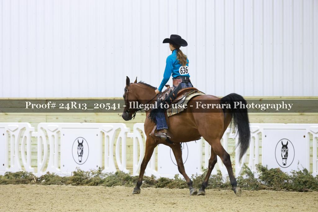 Proof 24R13_20541