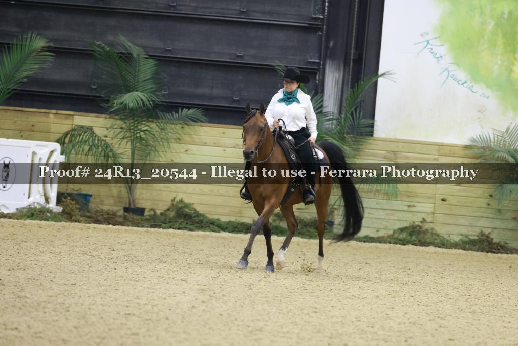 Proof 24R13_20544