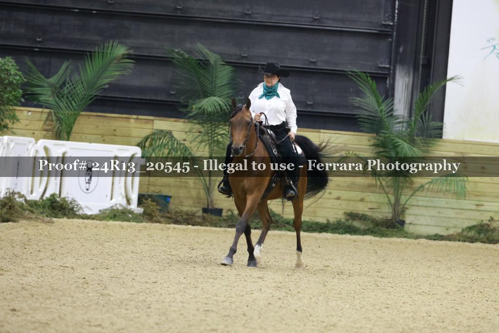 Proof 24R13_20545