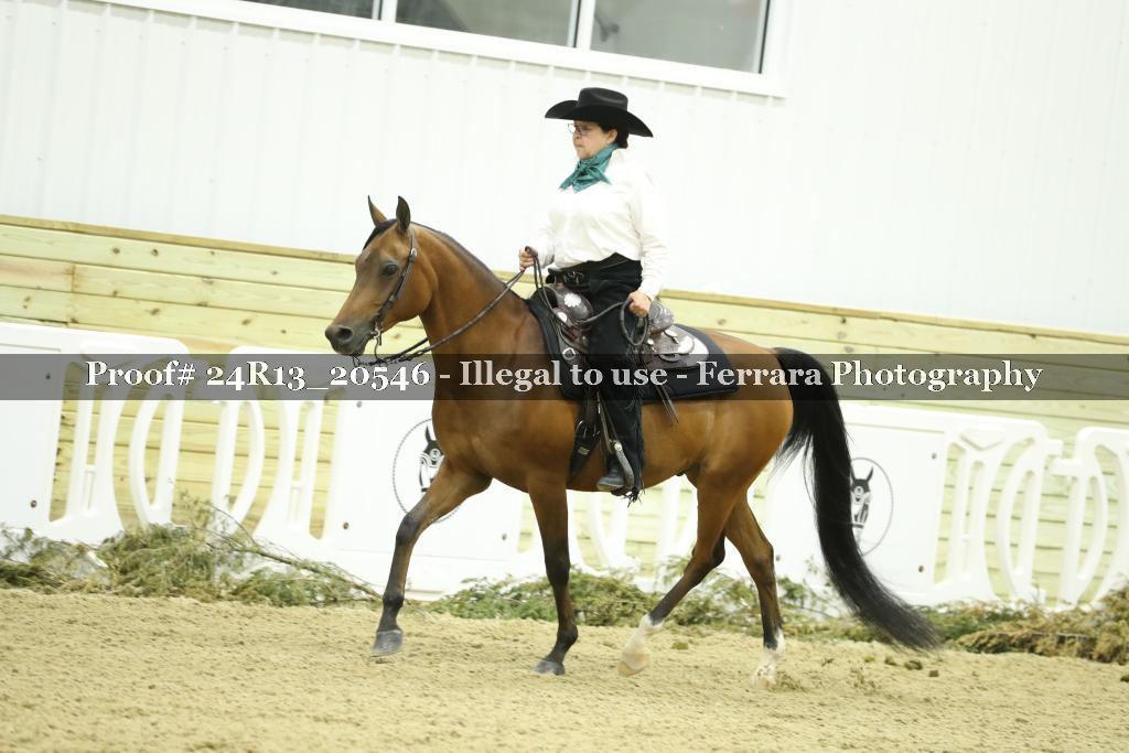 Proof 24R13_20546