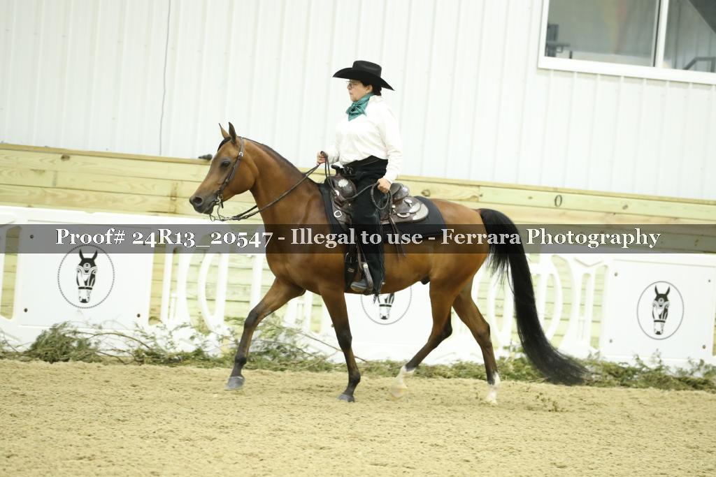 Proof 24R13_20547