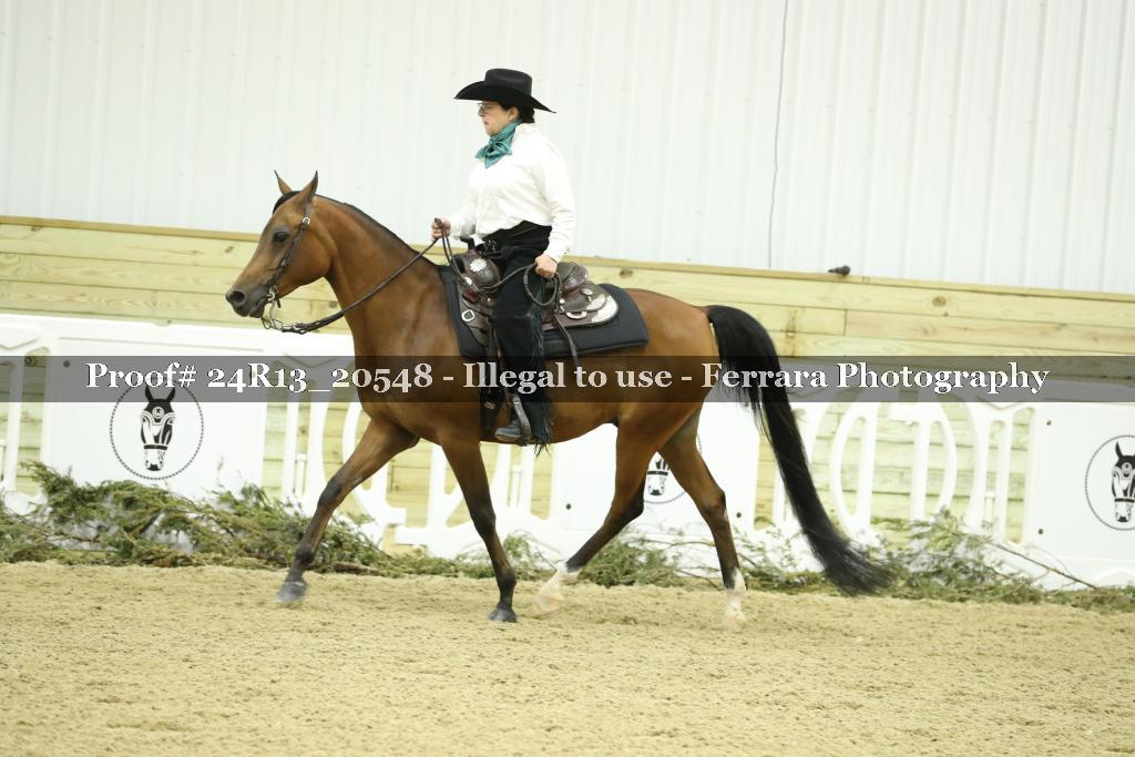 Proof 24R13_20548