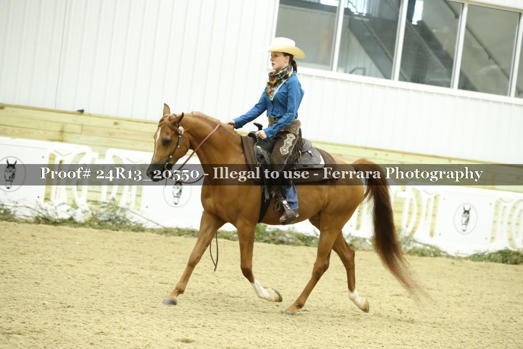 Proof 24R13_20550