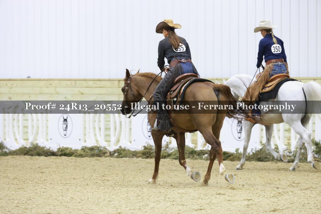 Proof 24R13_20552
