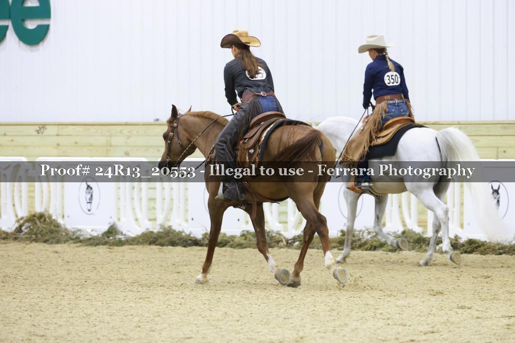 Proof 24R13_20553