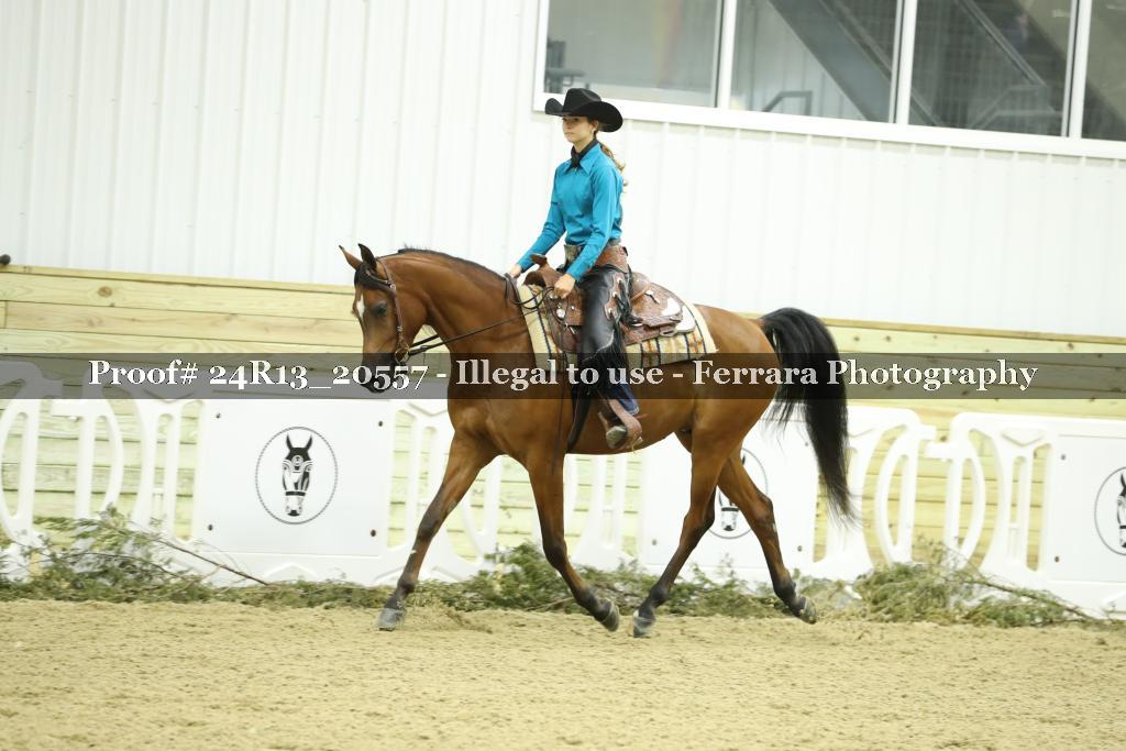 Proof 24R13_20557
