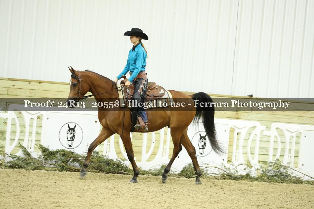 Proof 24R13_20558