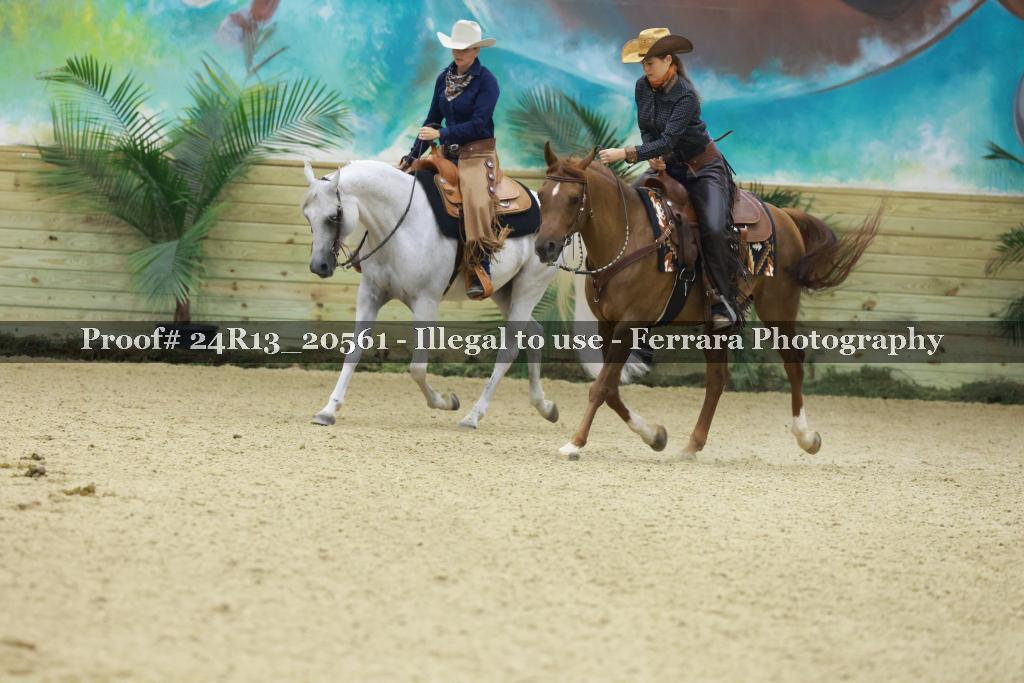 Proof 24R13_20561
