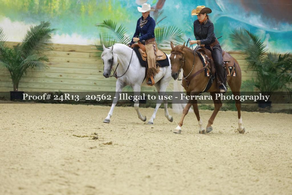 Proof 24R13_20562