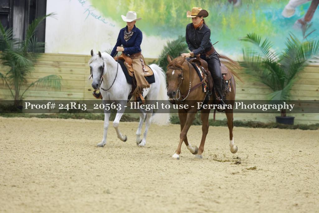 Proof 24R13_20563