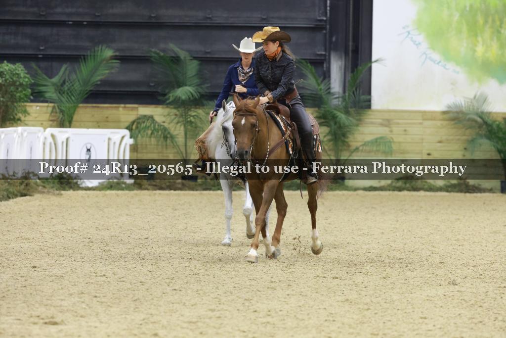 Proof 24R13_20565