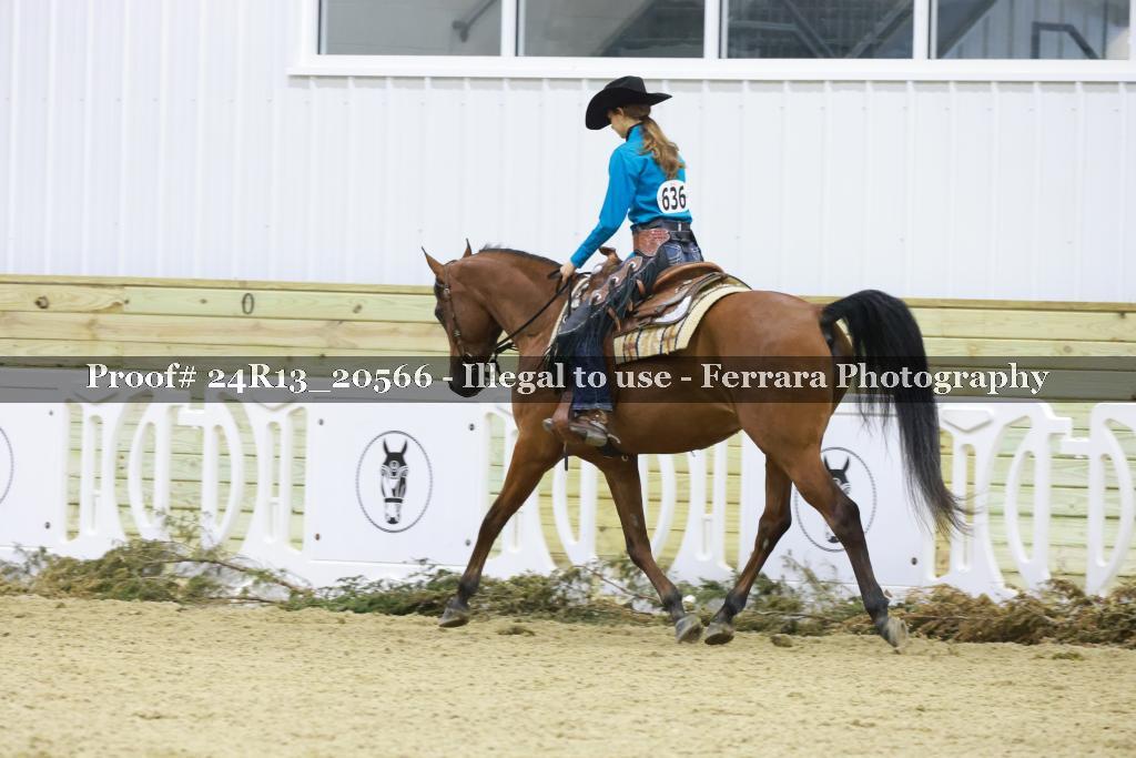 Proof 24R13_20566