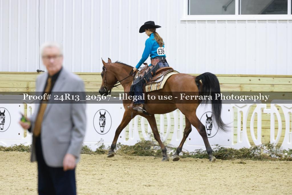 Proof 24R13_20567