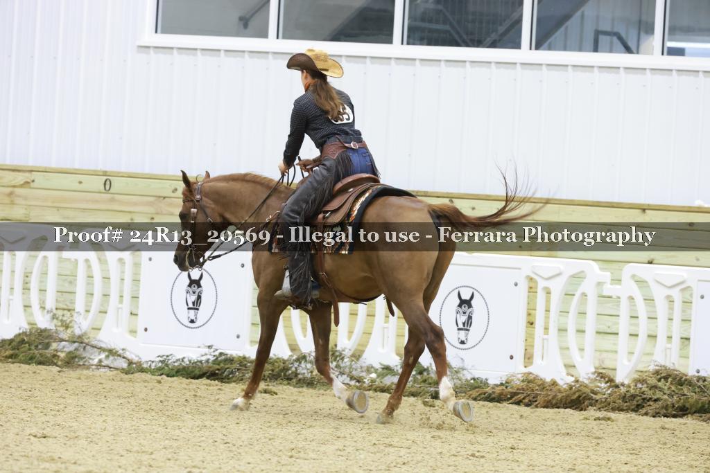 Proof 24R13_20569