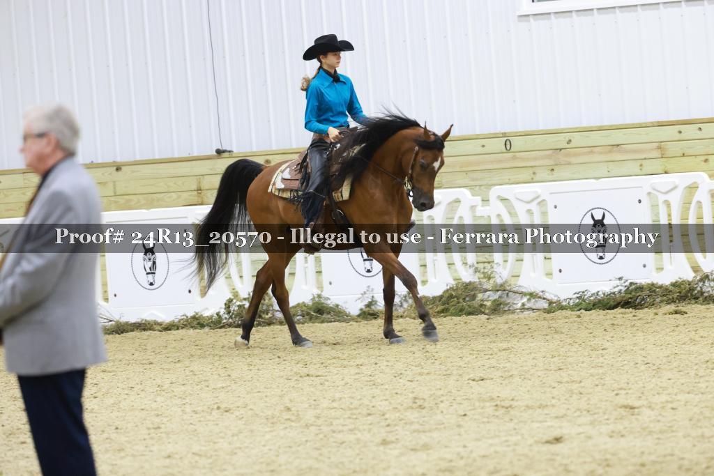 Proof 24R13_20570