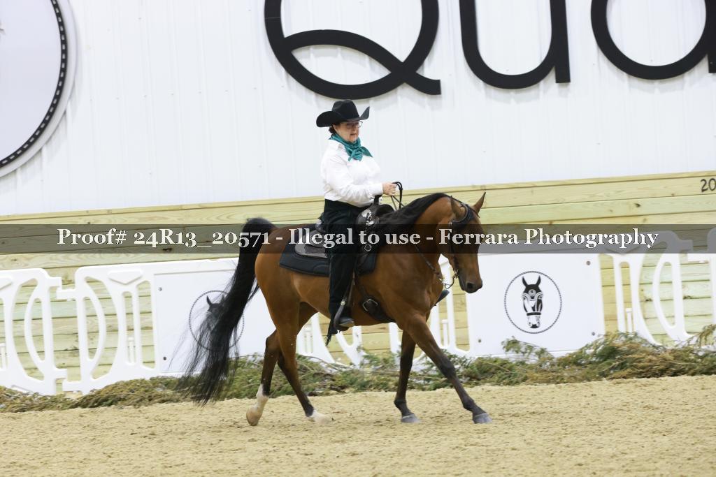 Proof 24R13_20571