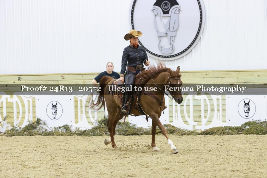 Proof 24R13_20572