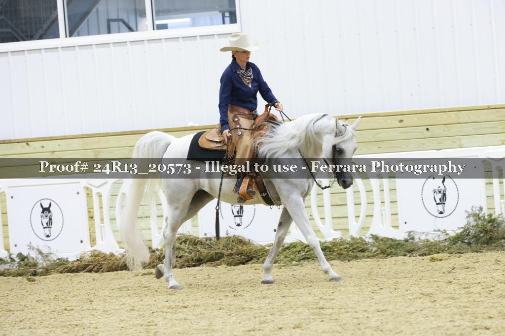 Proof 24R13_20573