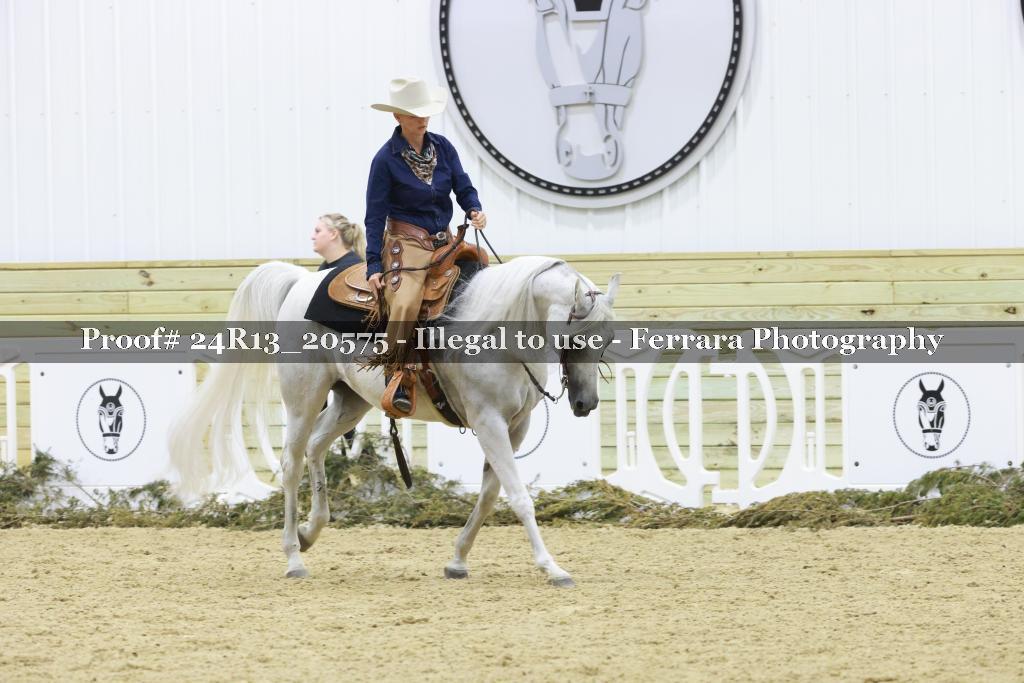 Proof 24R13_20575