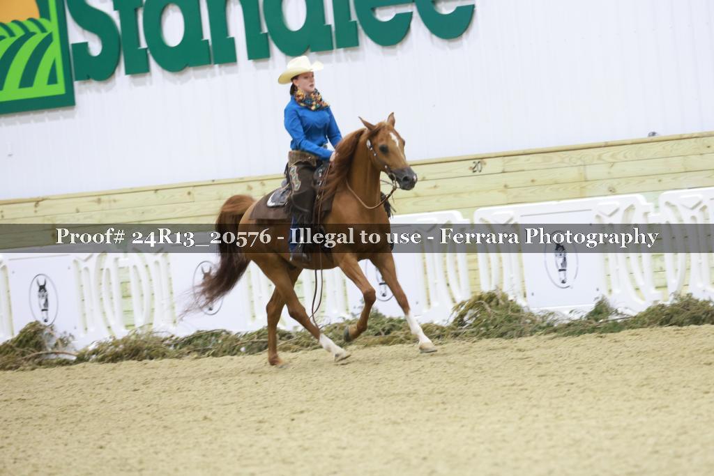 Proof 24R13_20576