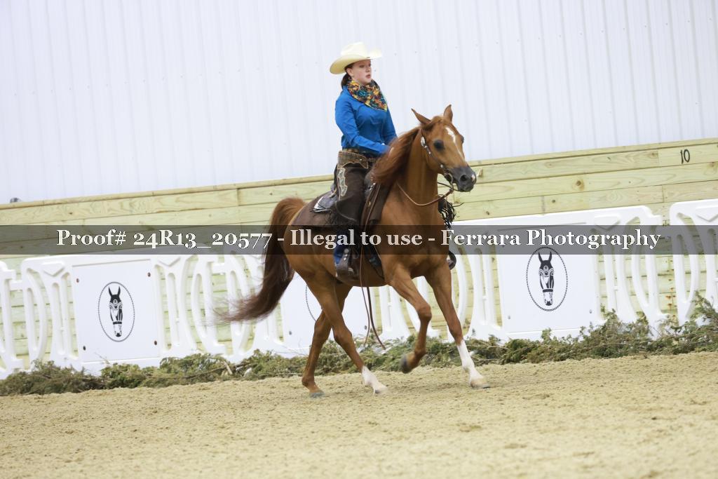 Proof 24R13_20577