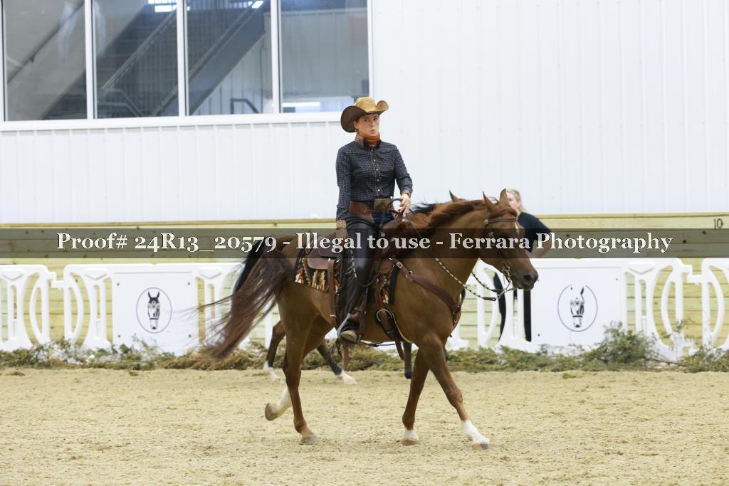 Proof 24R13_20579