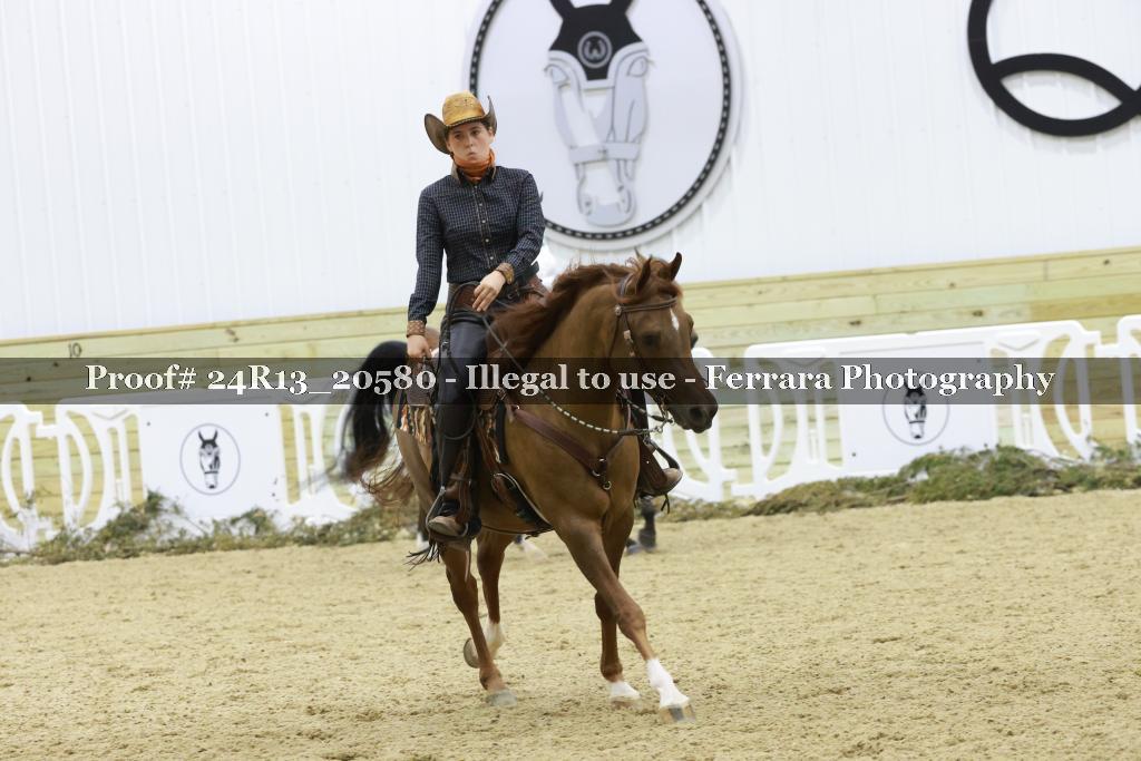 Proof 24R13_20580