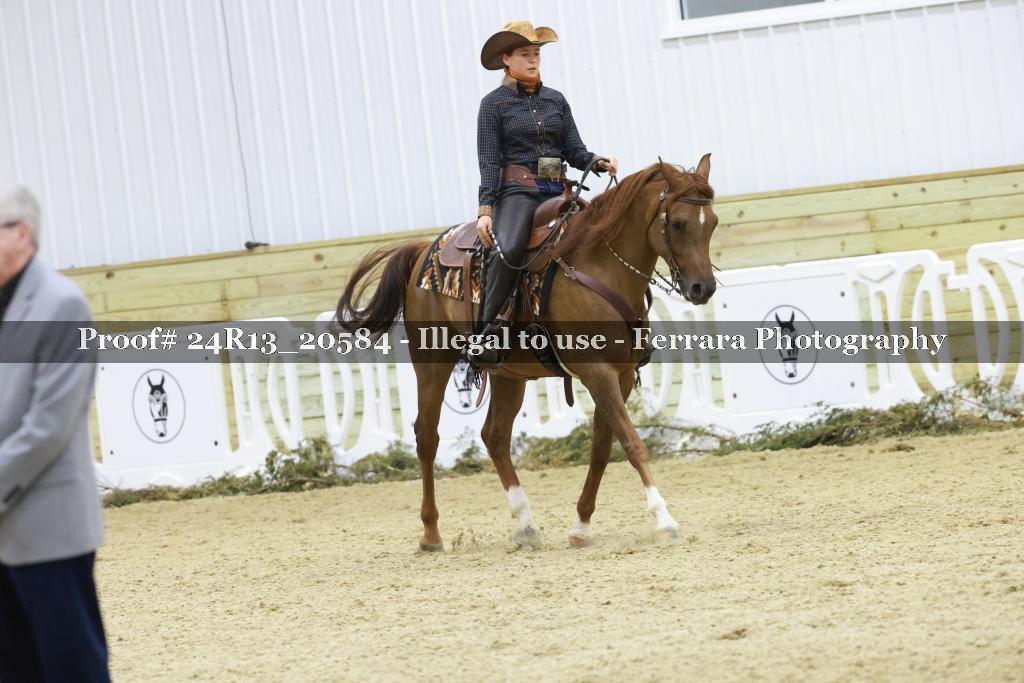 Proof 24R13_20584