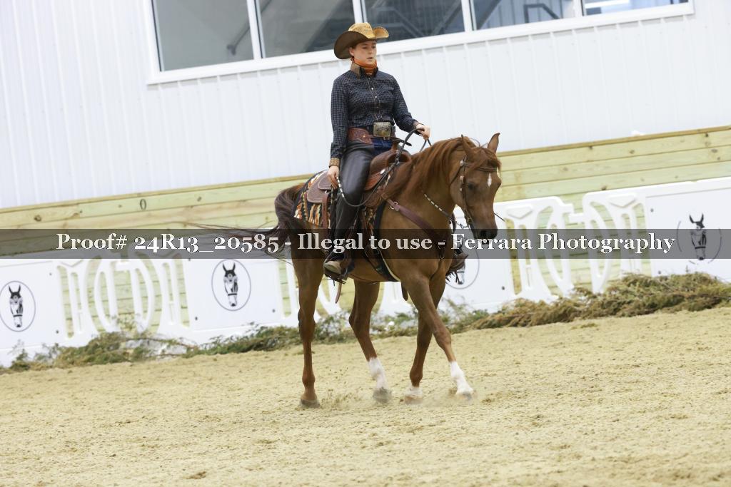 Proof 24R13_20585