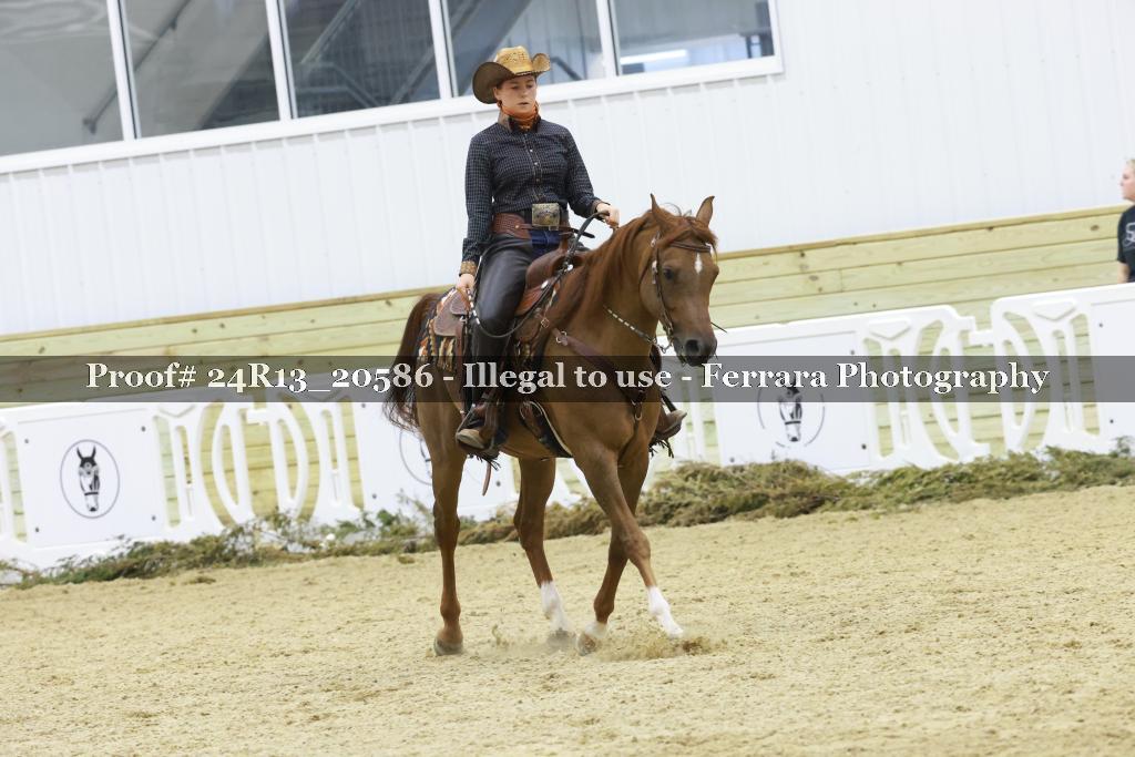 Proof 24R13_20586