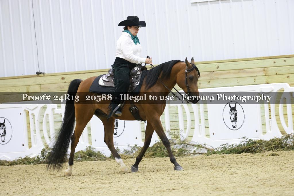 Proof 24R13_20588