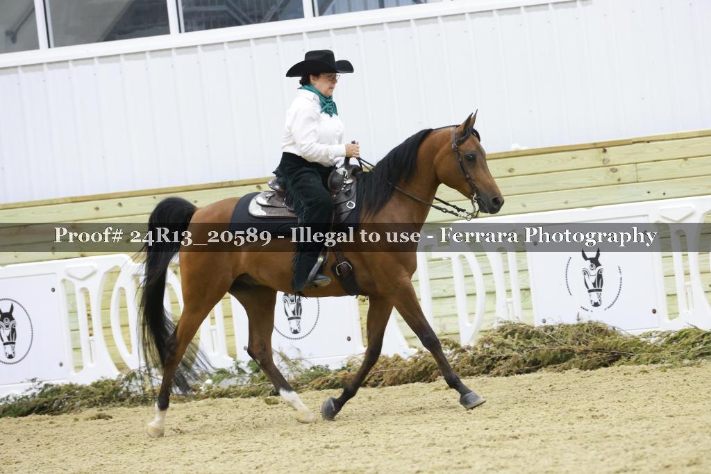 Proof 24R13_20589